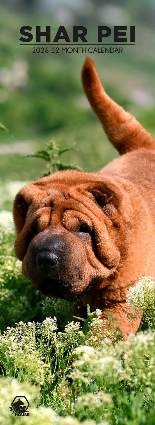 Shar Pei - Slim Calendar 2026