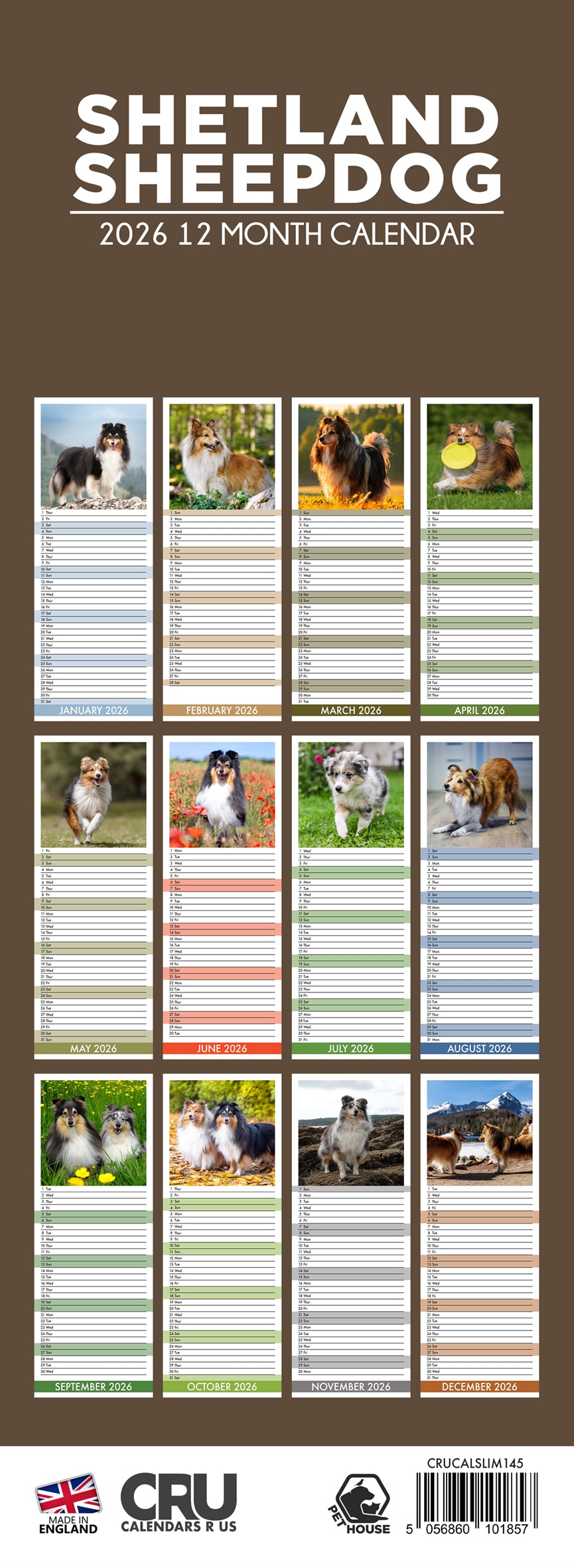 Shetland Sheepdog - Slim Calendar 2026