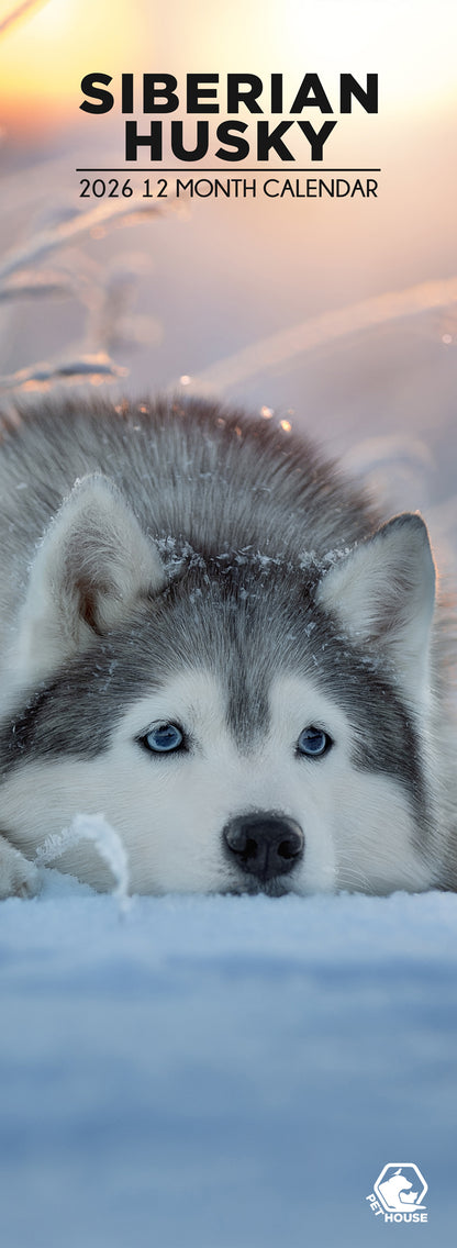 Siberian Husky - Slim Calendar 2026