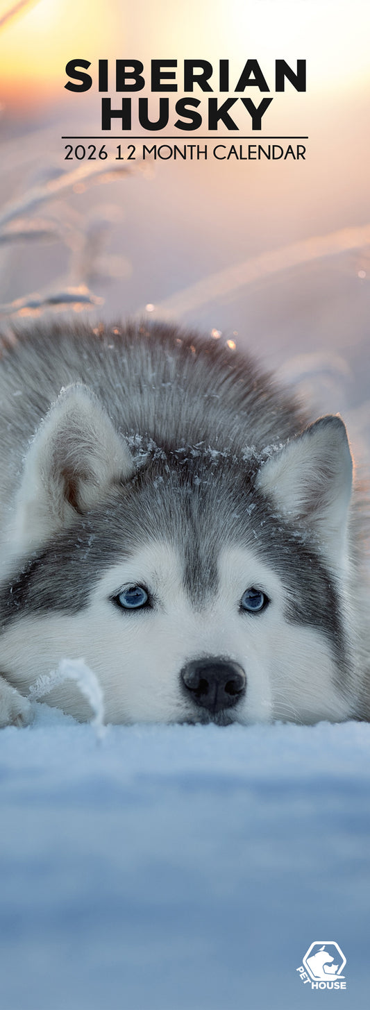 Siberian Husky - Slim Calendar 2026