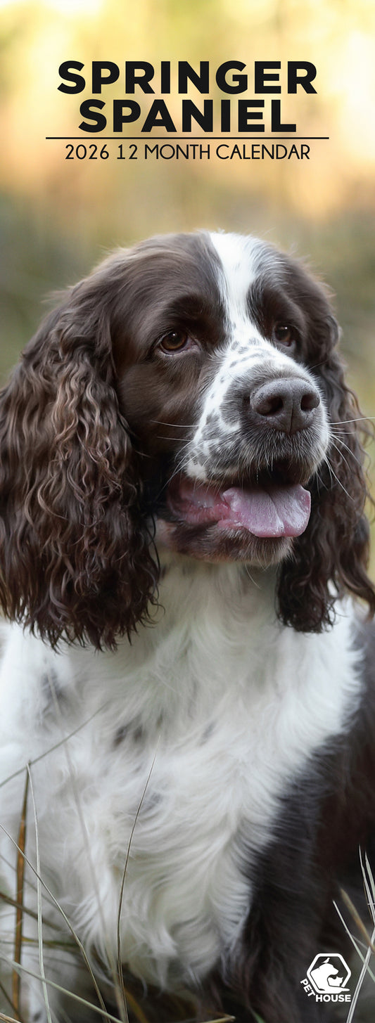 Springer Spaniel - Slim Calendar 2026
