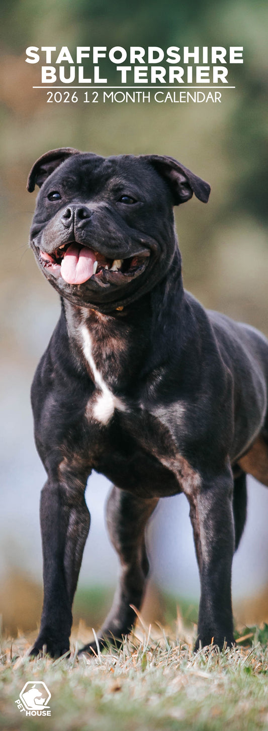 Staffordshire Bull Terrier - Slim Calendar 2026