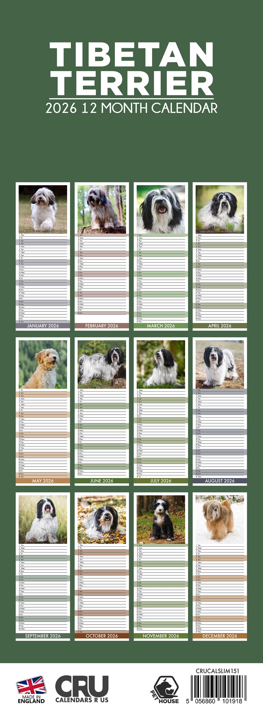 Tibetan Terrier - Slim Calendar 2026