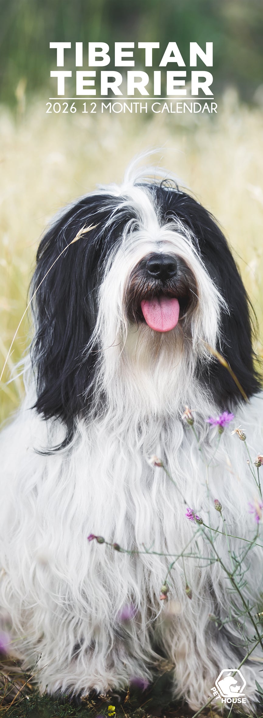 Tibetan Terrier - Slim Calendar 2026