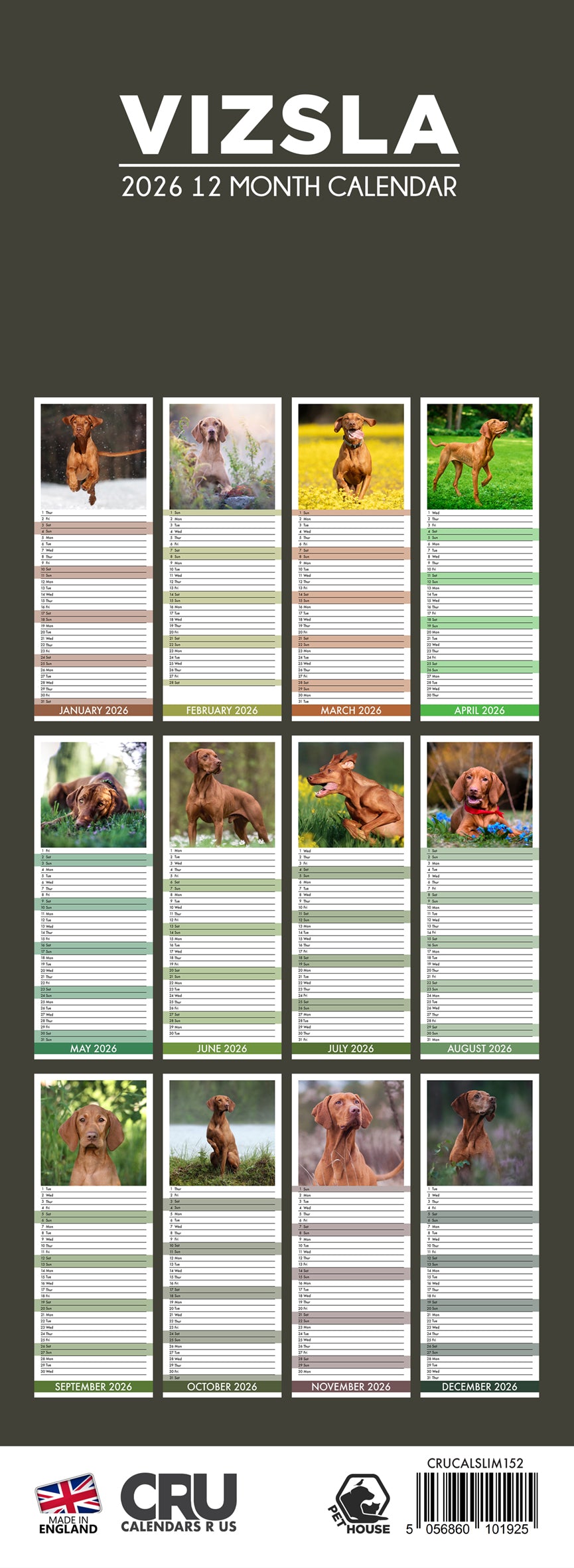 Vizsla - Slim Calendar 2026