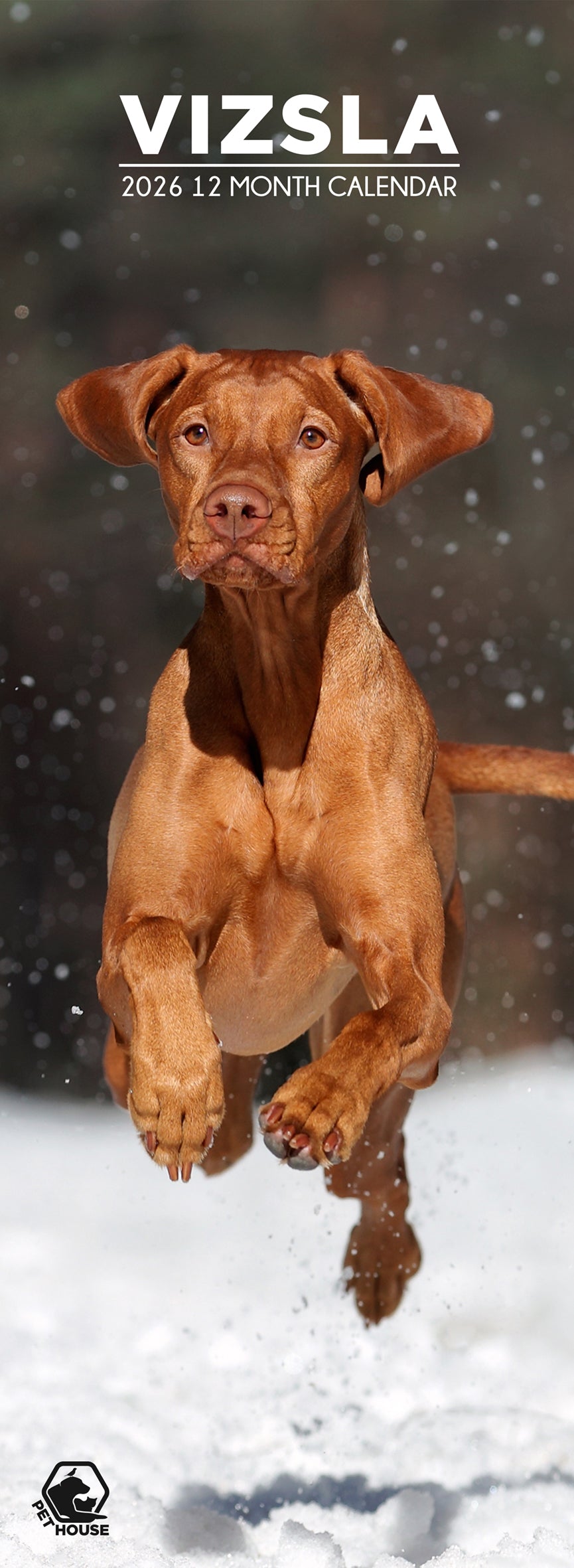 Vizsla - Slim Calendar 2026