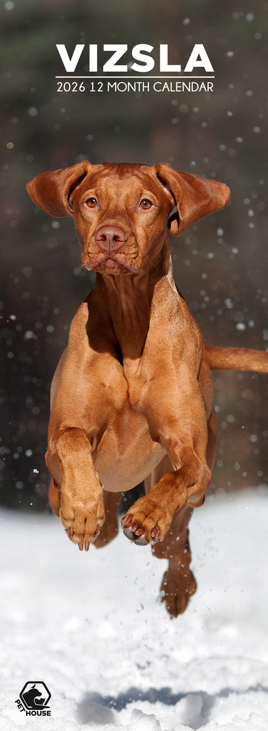 Vizsla - Slim Calendar 2026