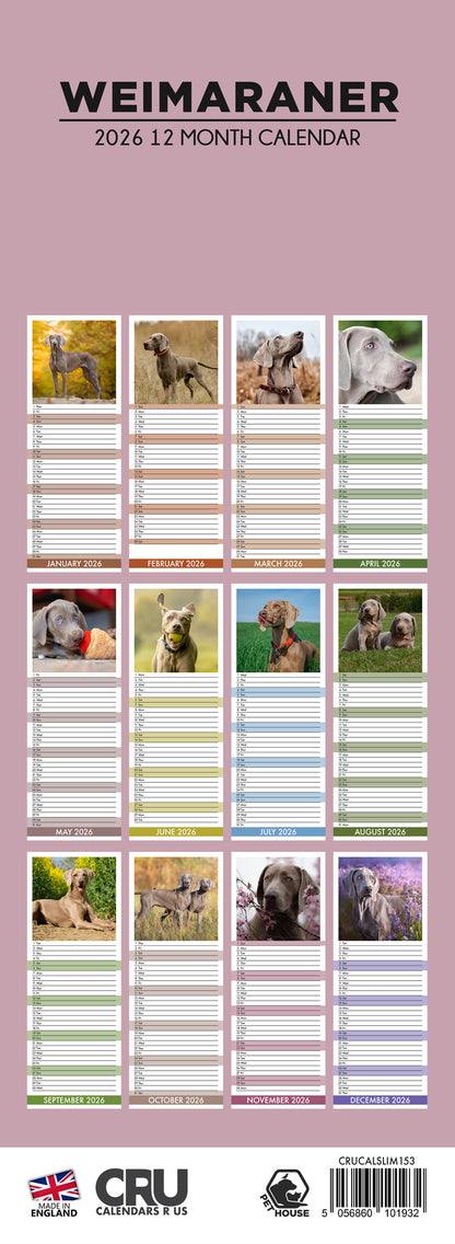 Weimaraner - Slim Calendar 2026