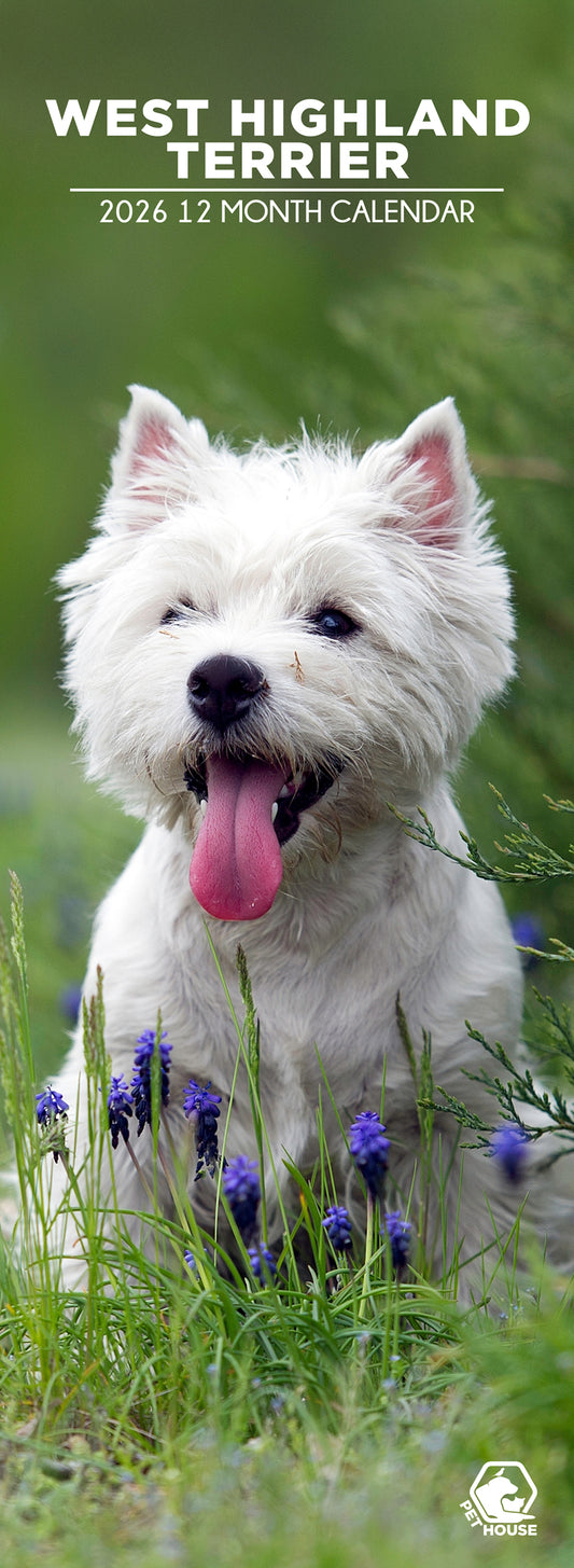 West Highland Terrier - Slim Calendar 2026