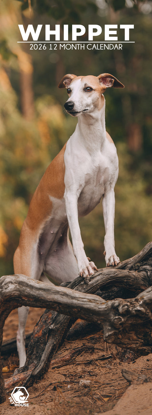 Whippet - Slim Calendar 2026