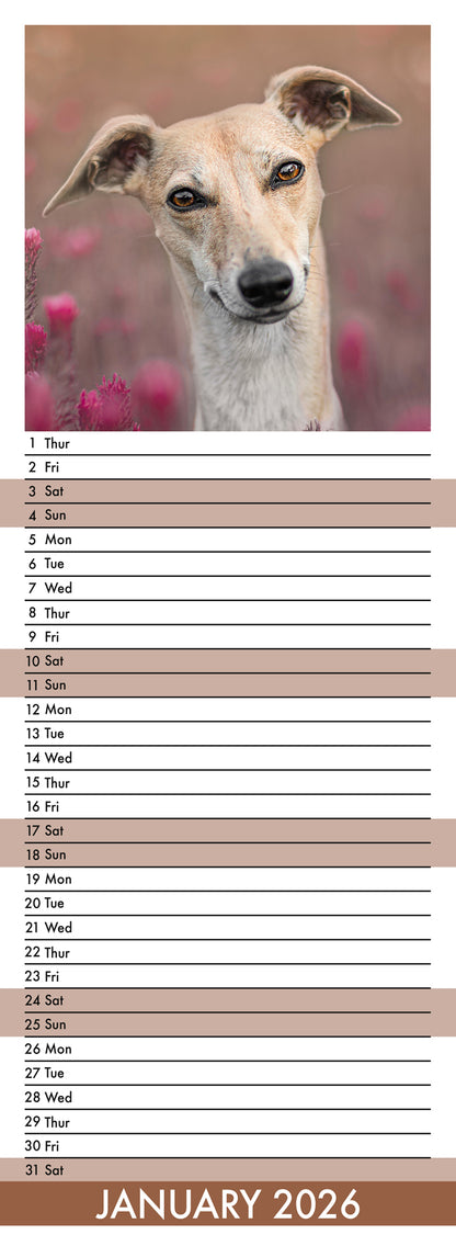 Whippet - Slim Calendar 2026
