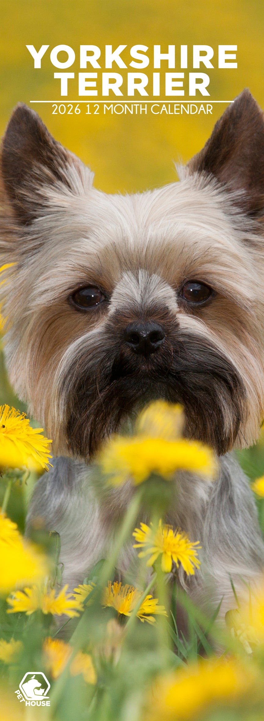 Yorkshire Terrier - Slim Calendar 2026