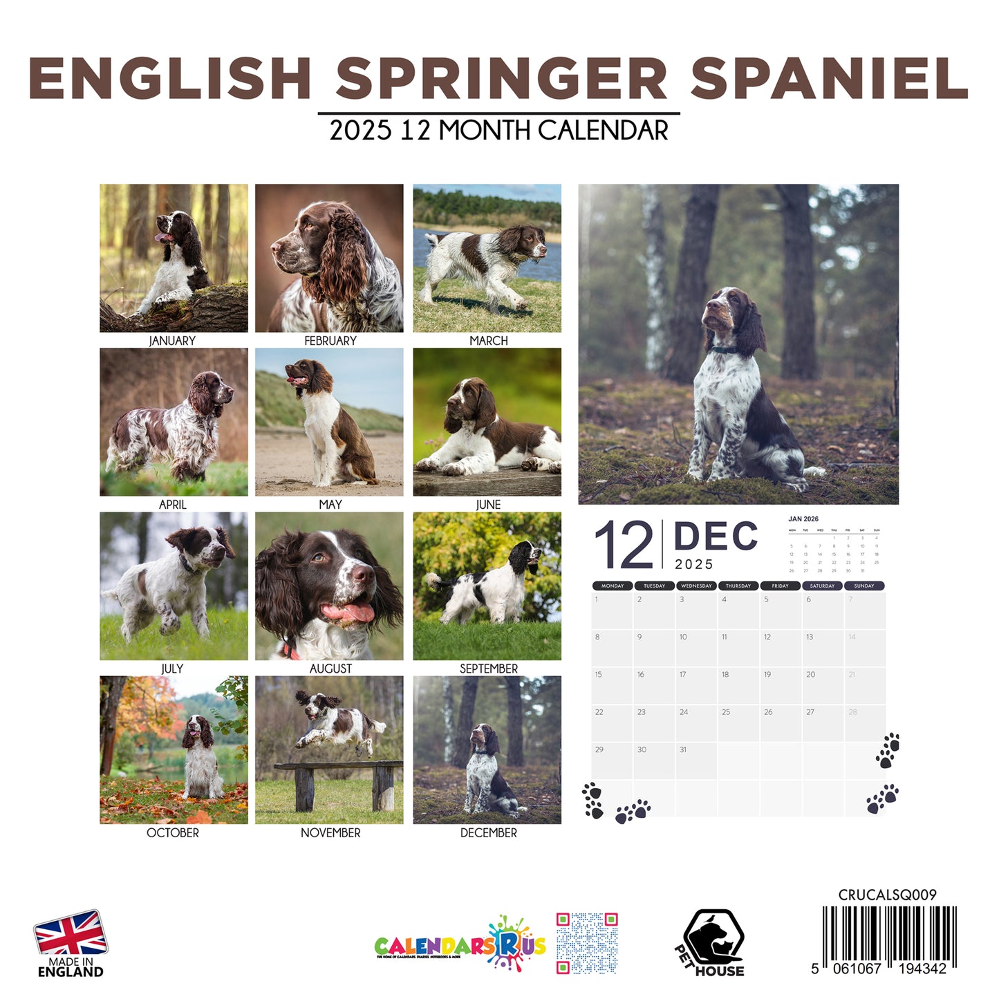 English Springer Spaniel Calendar Square 2025