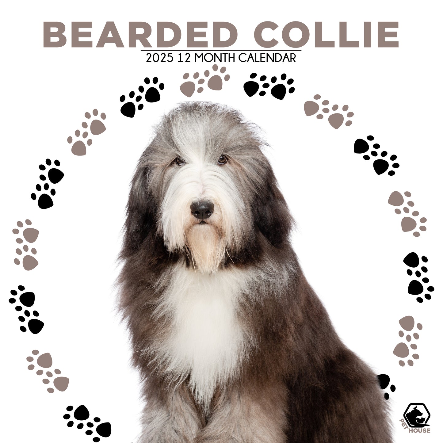 Bearded Collie Calendar Square 2025