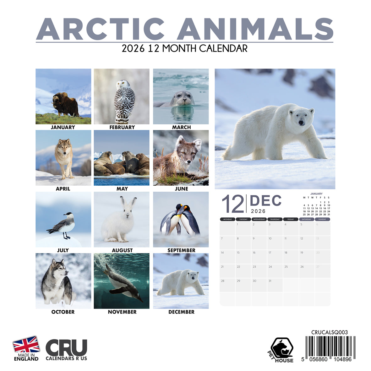 Arctic Animals - Square Calendar 2026