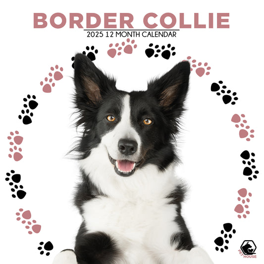 Border Collie Calendar Square 2025