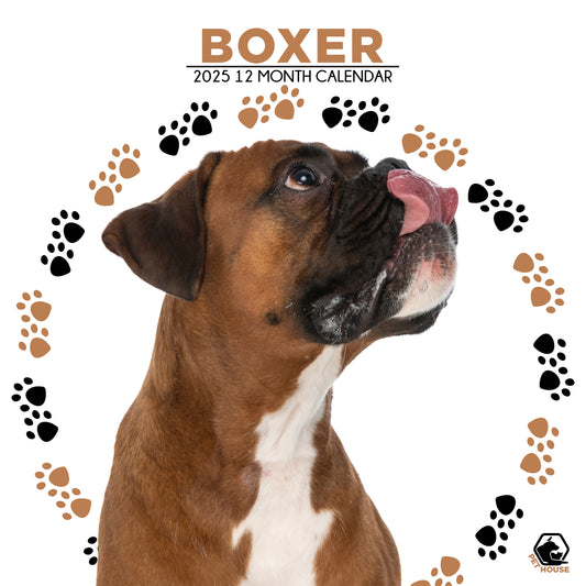 Boxer Calendar Square 2025