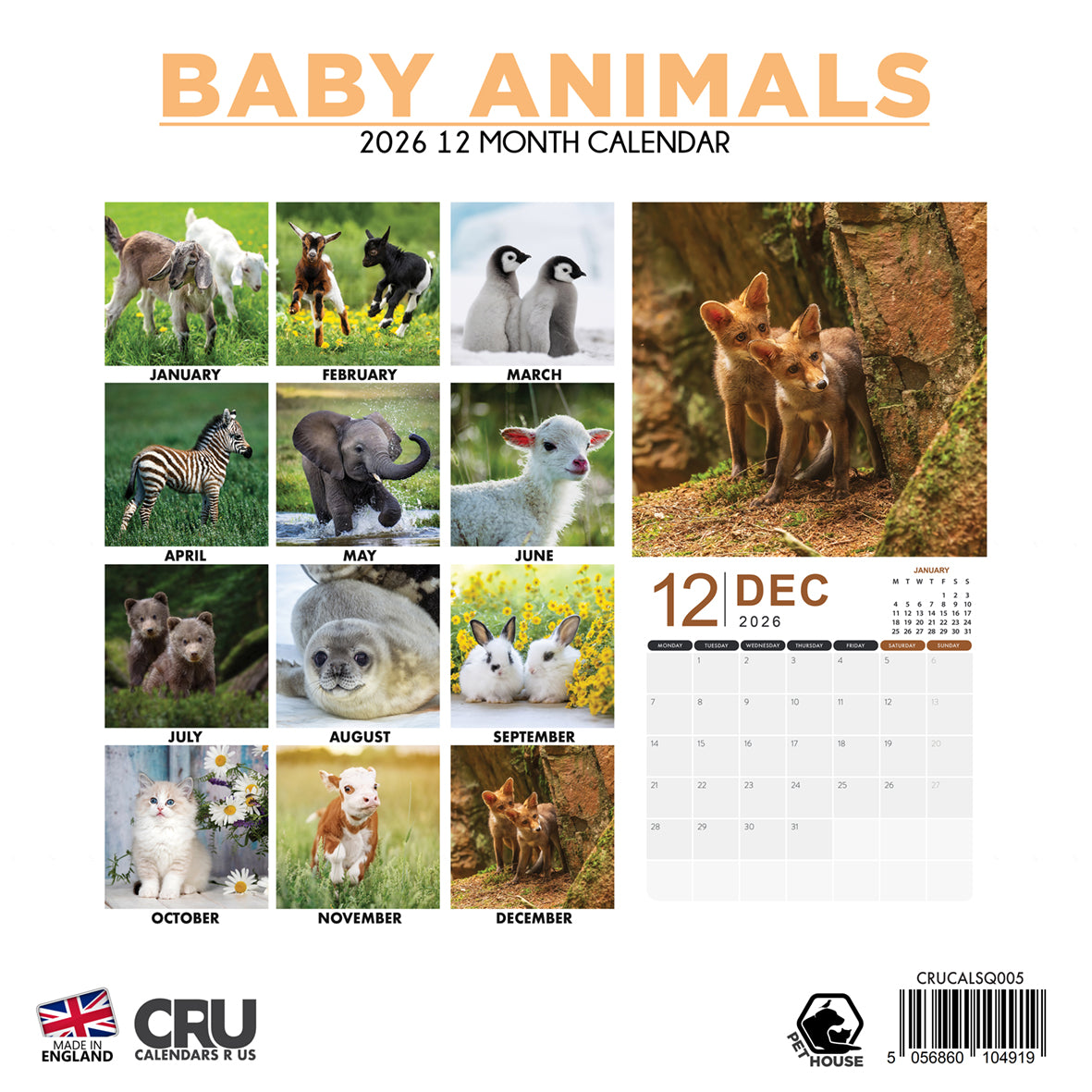 Baby Animals - Square Calendar 2026