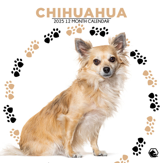 Chihuahua Calendar Square 2025