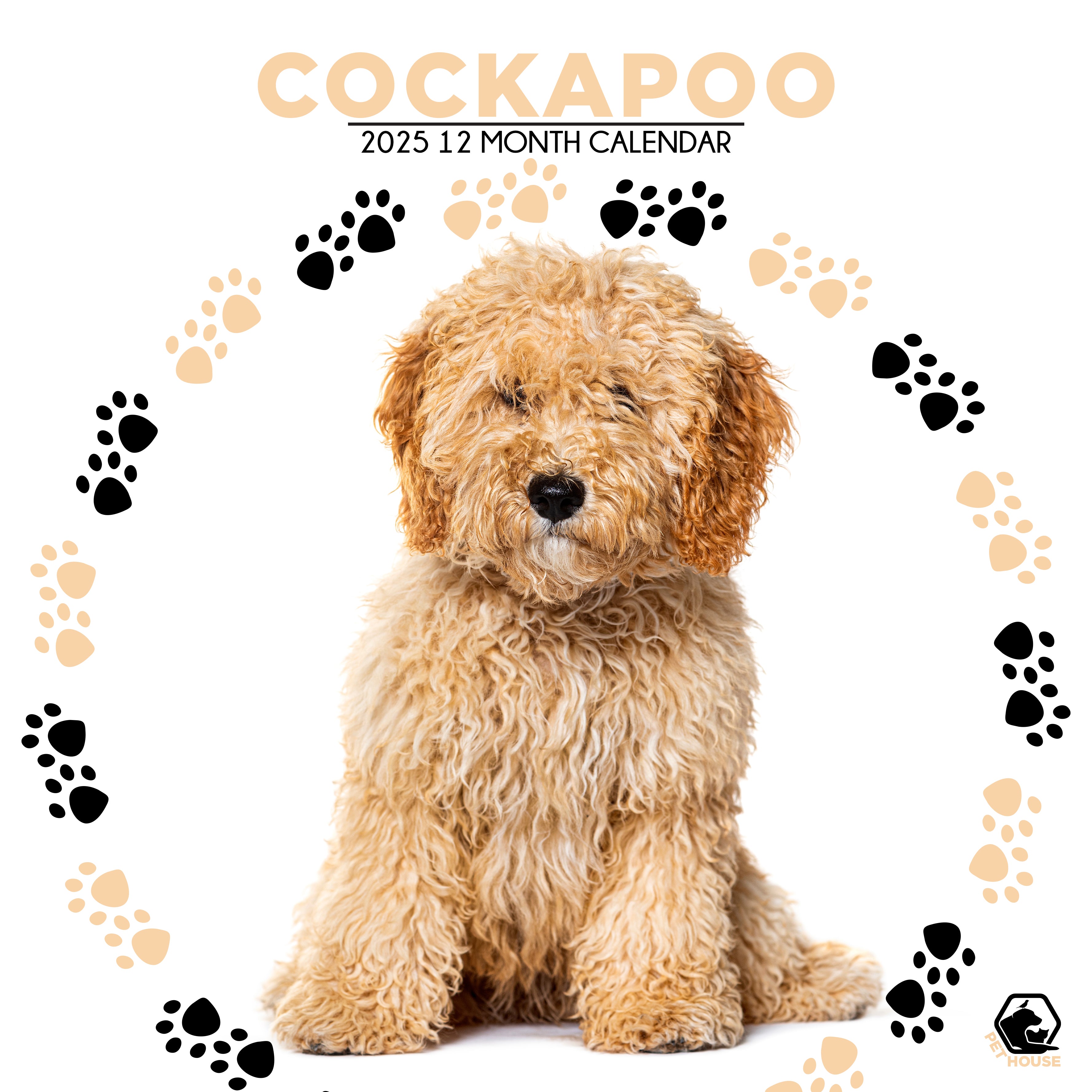Cockapoo Calendar Square 2025 – CalendarsRus