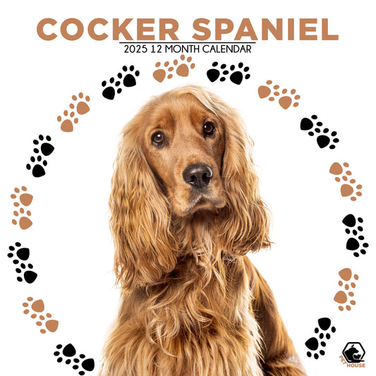 Cocker Spaniel Calendar Square 2025