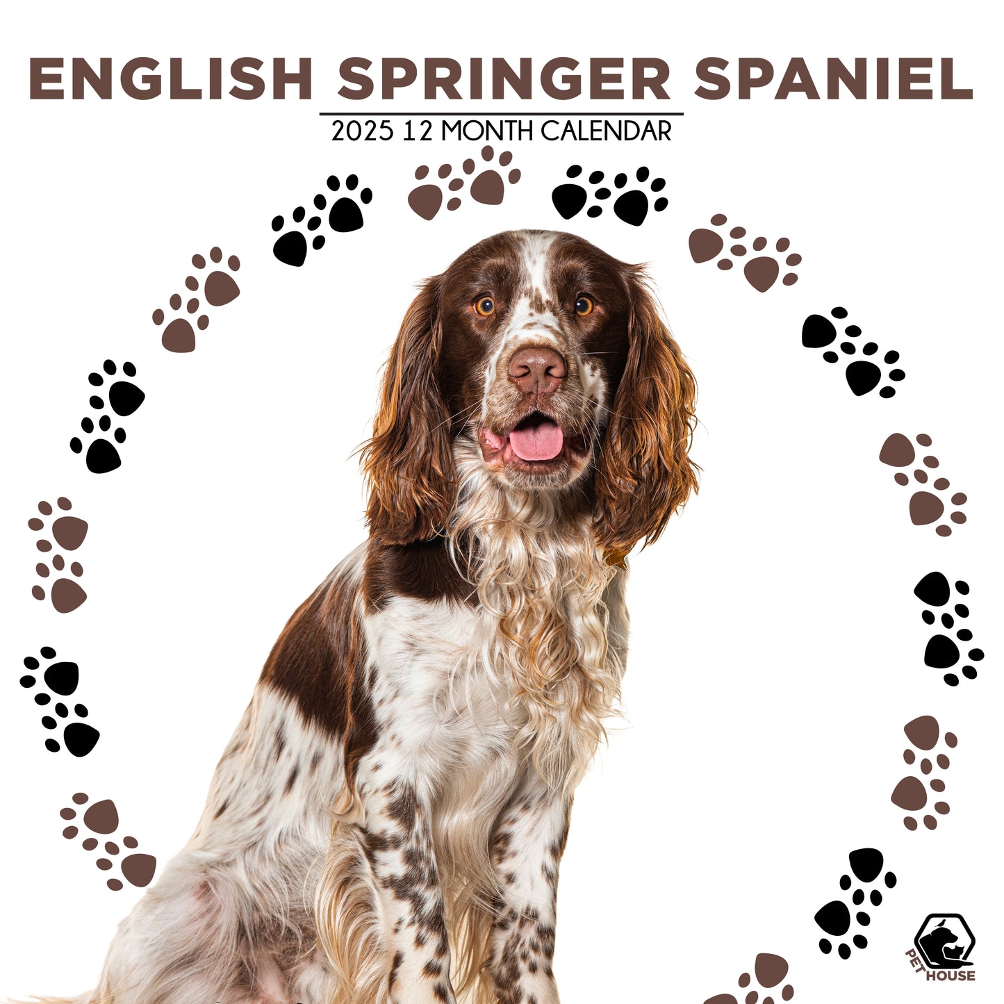 English Springer Spaniel Calendar Square 2025