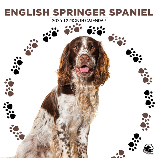 English Springer Spaniel Calendar Square 2025