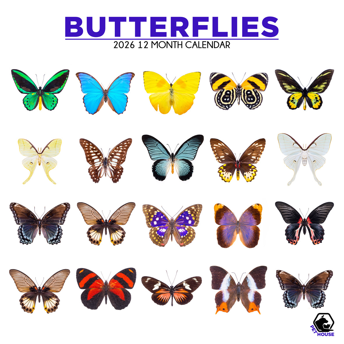 Butterflies - Square Calendar 2026