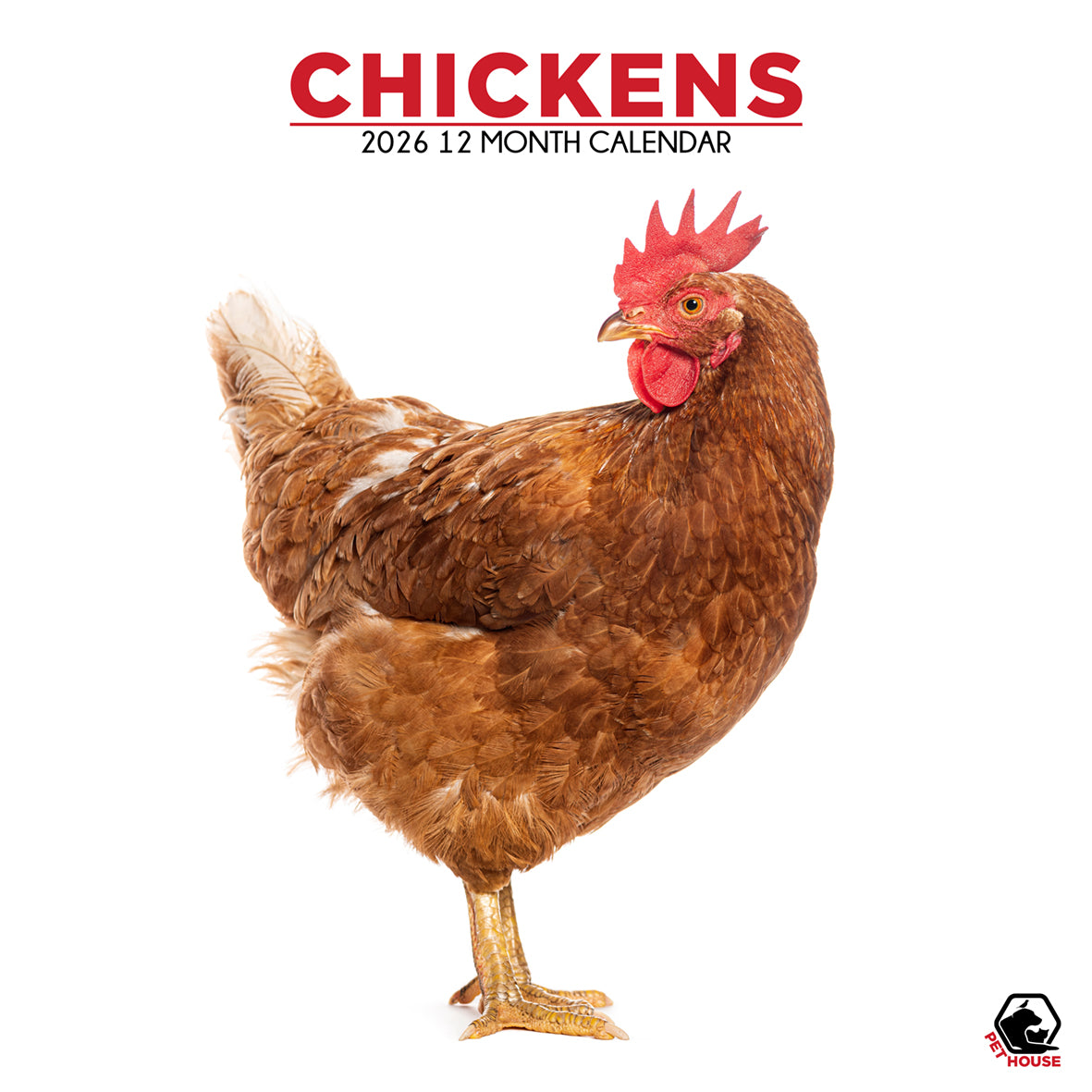 Chickens - Square Calendar 2026