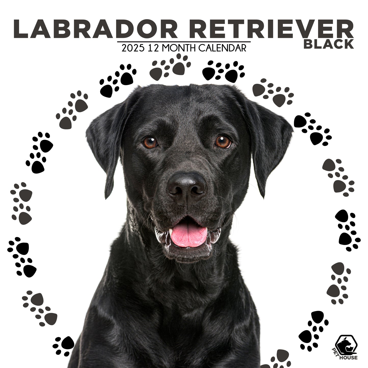 Labrador Retriever Black Calendar Square 2025