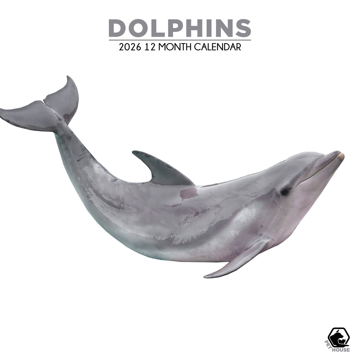 Dolphins - Square Calendar 2026