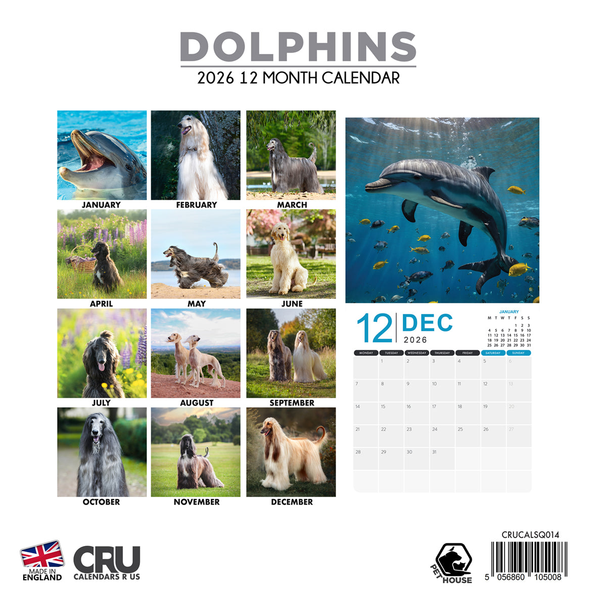 Dolphins - Square Calendar 2026