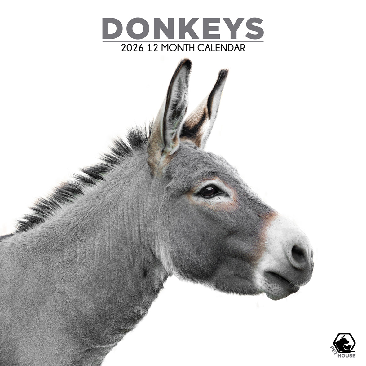 Donkeys - Square Calendar 2026