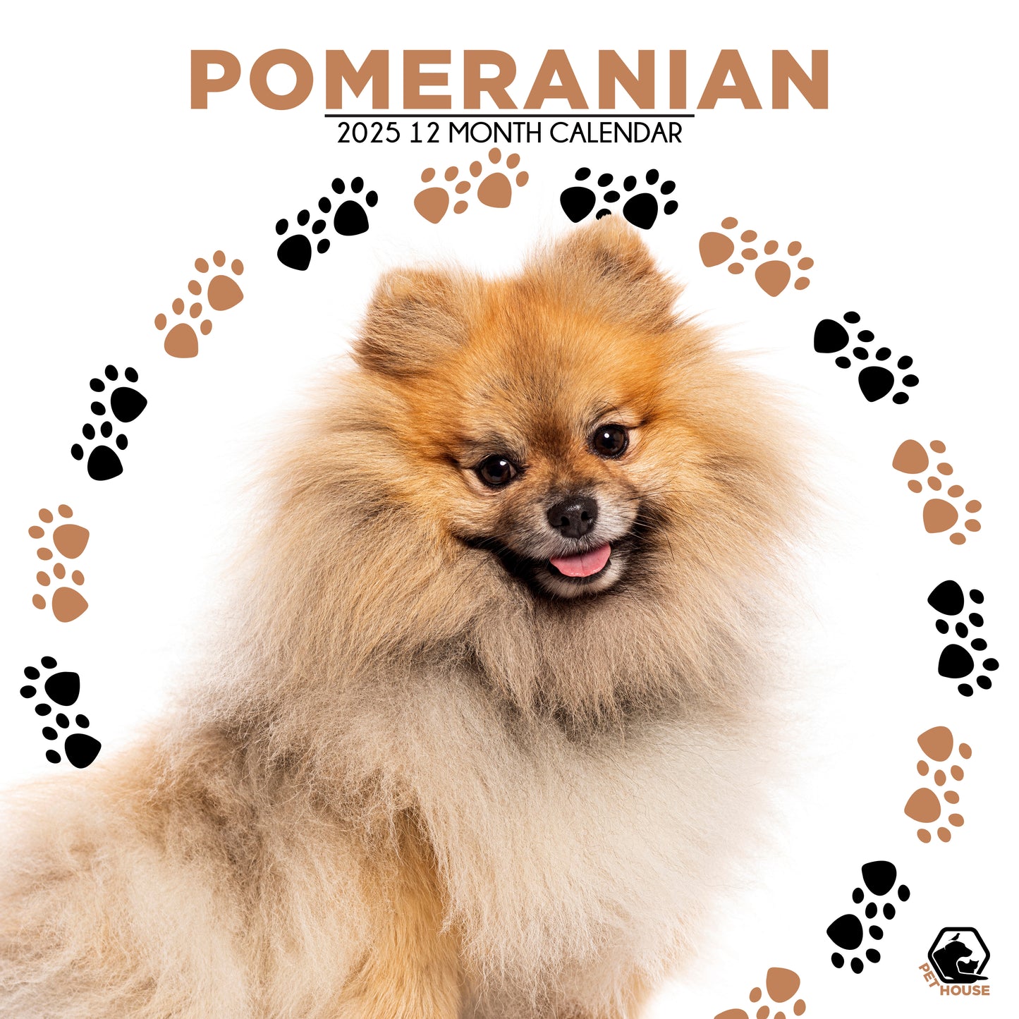 Pomeranian Calendar Square 2025