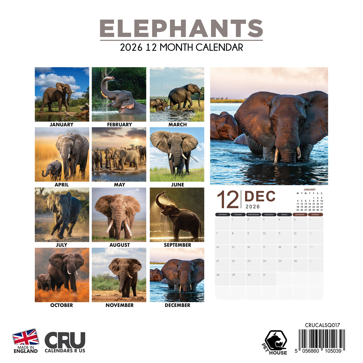 Elephants - Square Calendar 2026