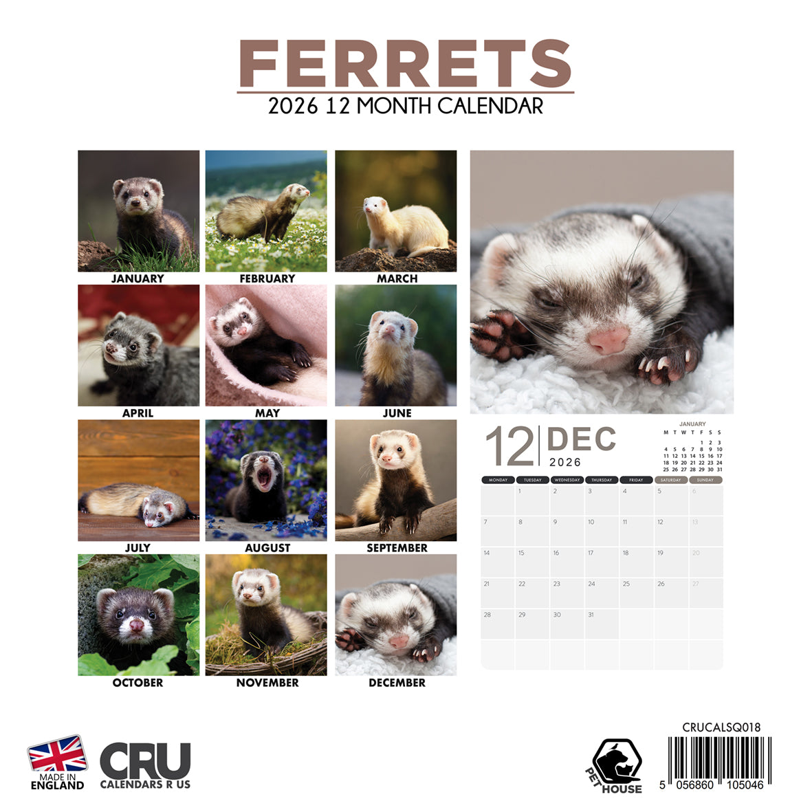 Ferrets - Square Calendar 2026