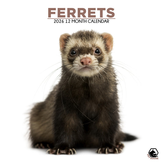 Ferrets - Square Calendar 2026