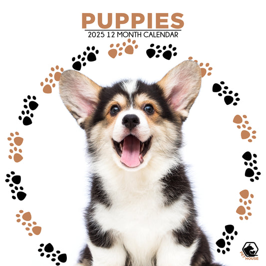 Puppies Calendar Square 2025