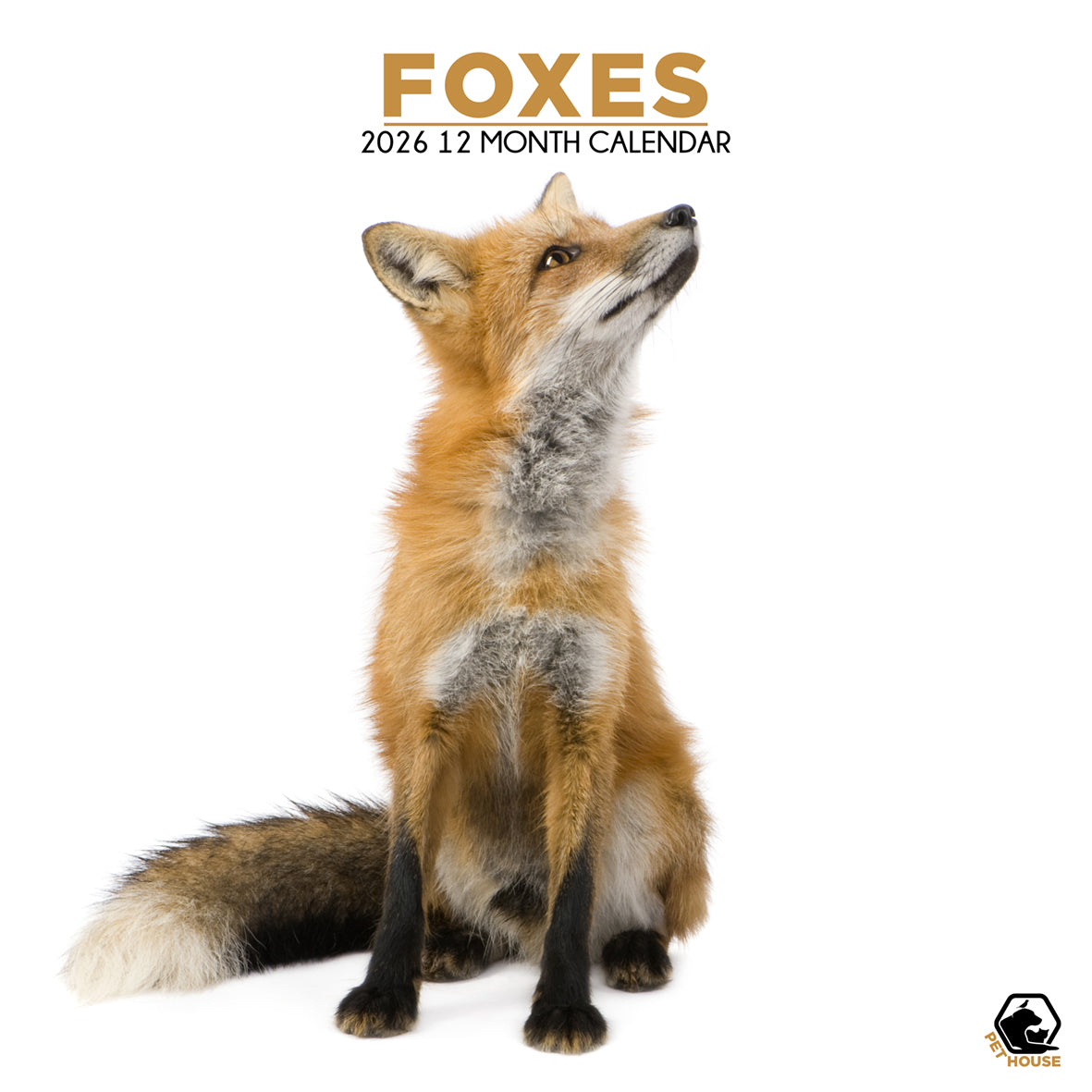 Foxes - Square Calendar 2026