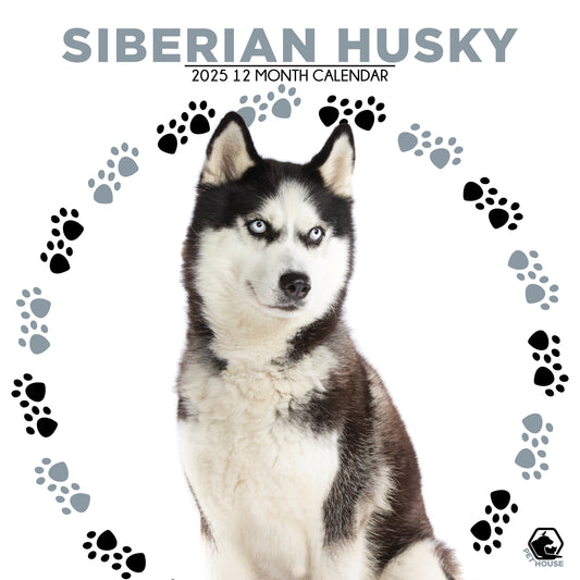 Siberian Husky Calendar Square 2025