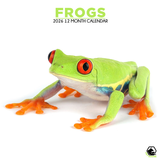 Frogs - Square Calendar 2026