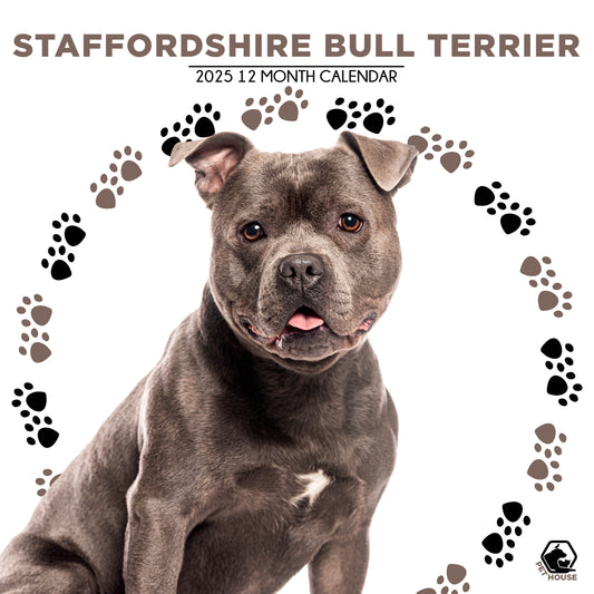 Staffordshire Bull Terrier Calendar Square 2025