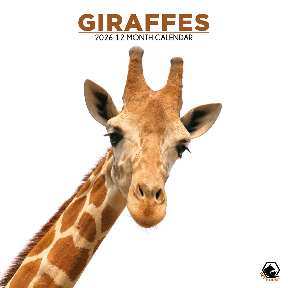 Giraffes - Square Calendar 2026