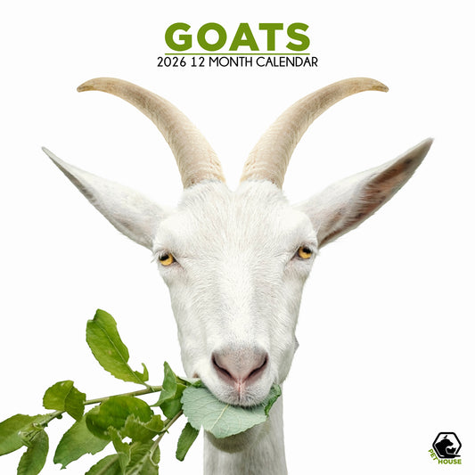 Goats - Square Calendar 2026