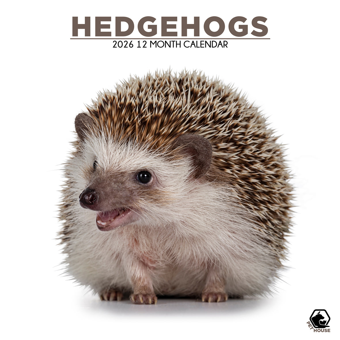 Hedgehogs - Square Calendar 2026