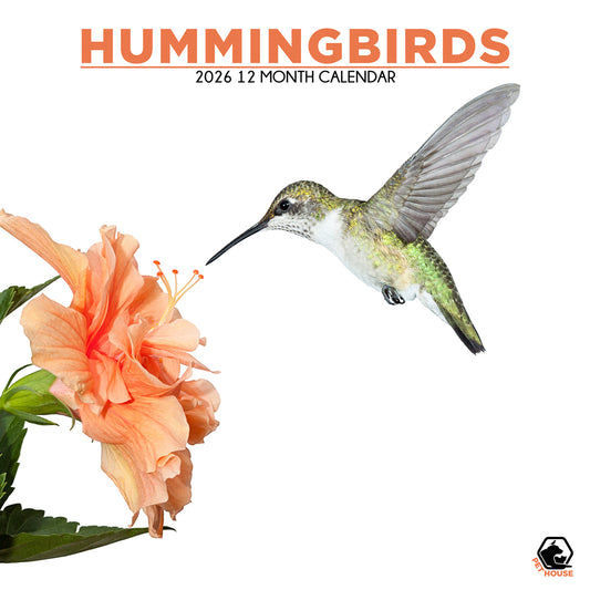 Hummingbirds - Square Calendar 2026