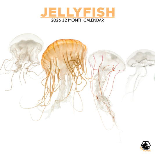 Jellyfish - Square Calendar 2026