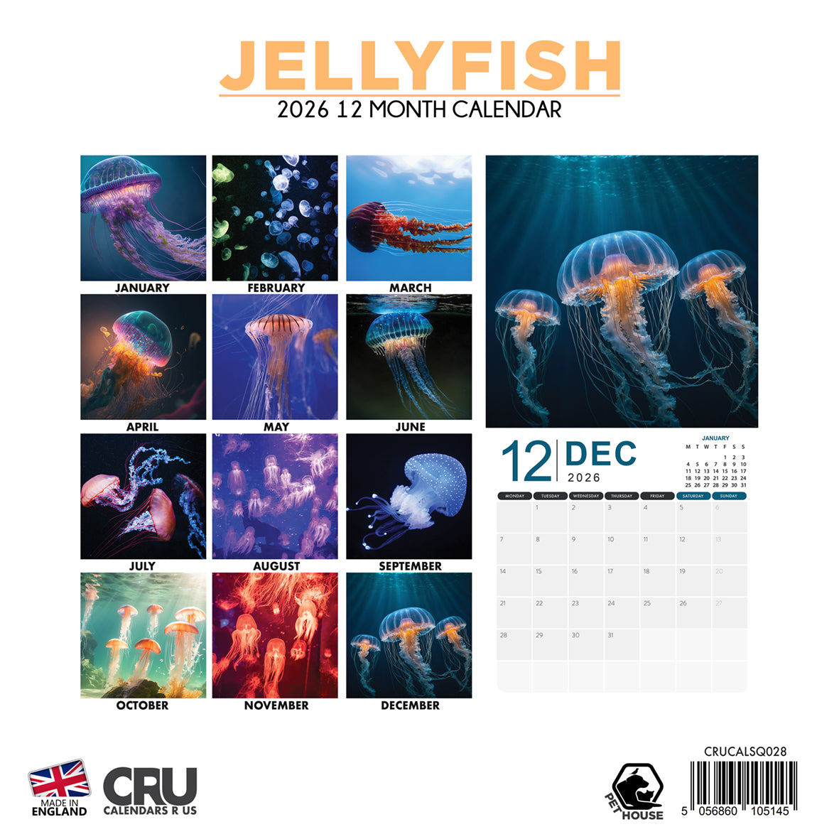 Jellyfish - Square Calendar 2026