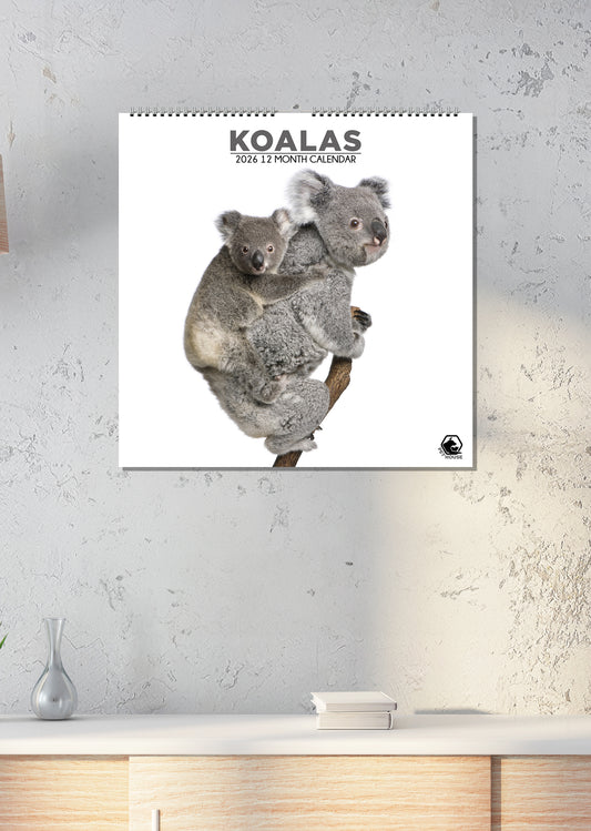 Koalas - Square Calendar 2026