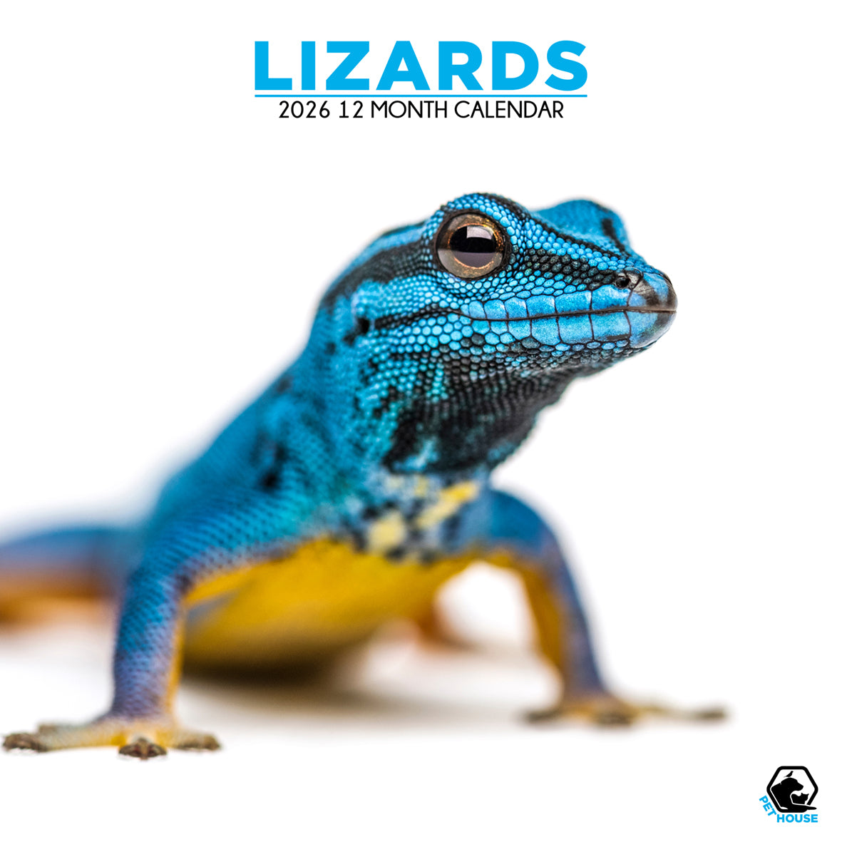 Lizards - Square Calendar 2026